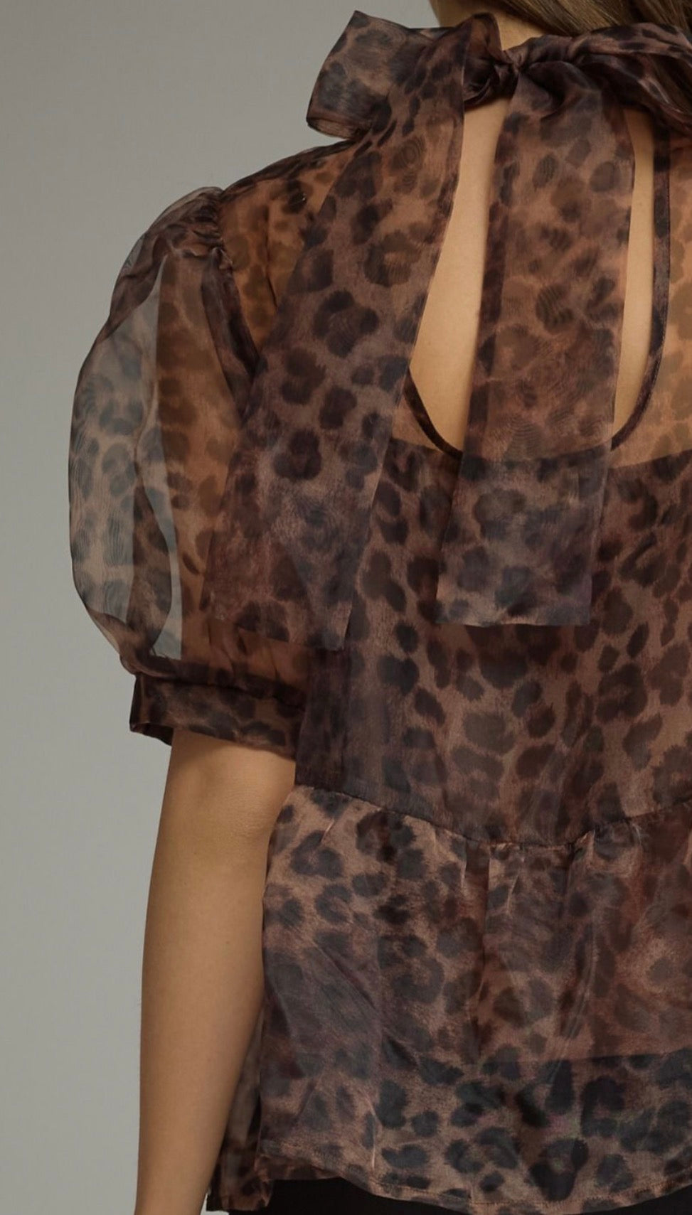 Sheer Instinct Top