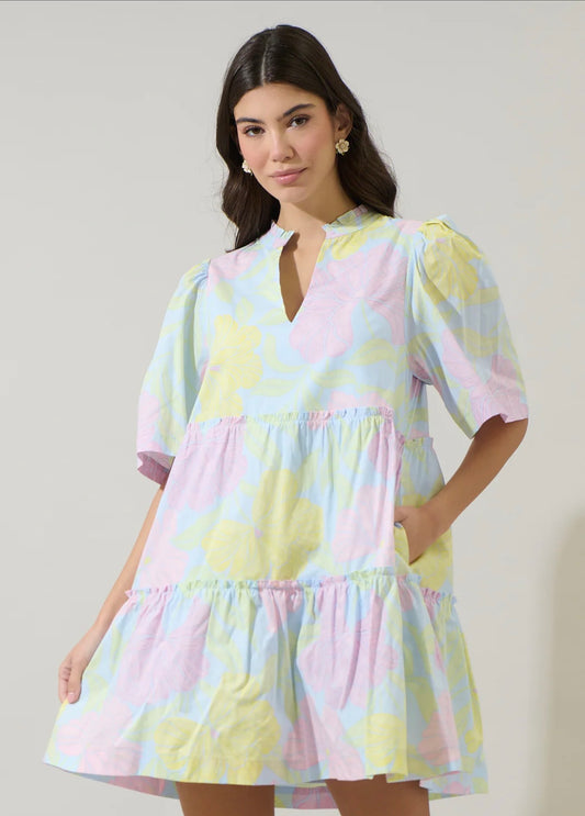 Brisa Floral Shift Dress