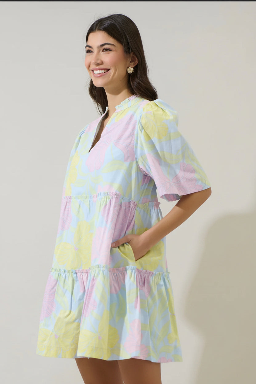 Brisa Floral Dress
