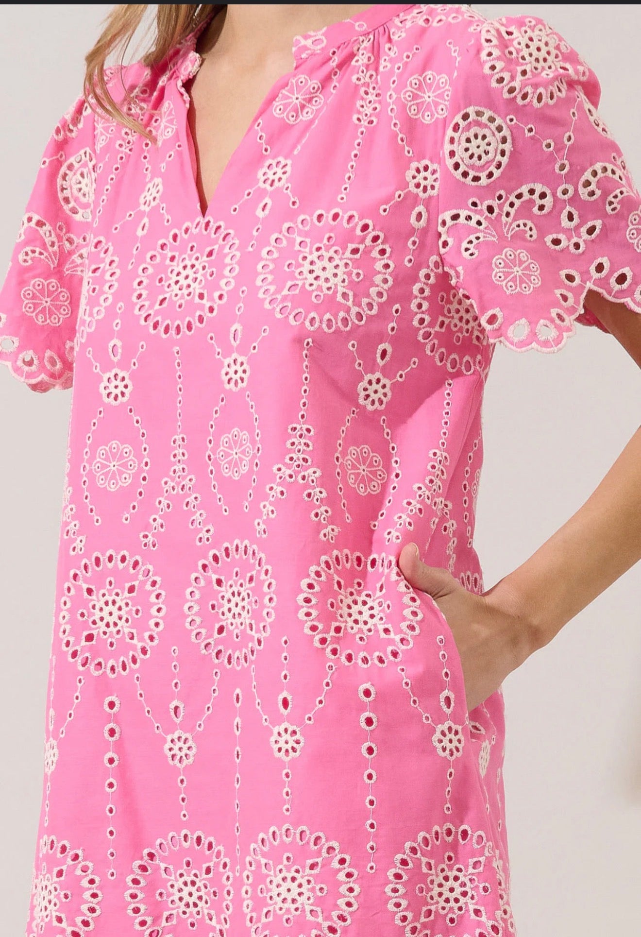 Embroidered Eyelet Mini Dress - Pink